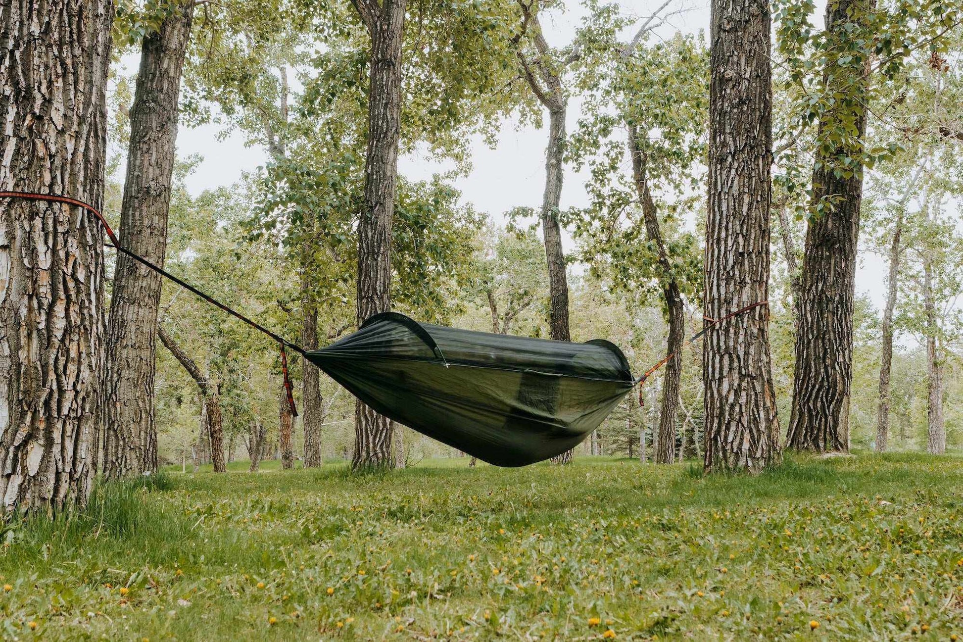 Portable Camping Hammock with Mosquito Net-0